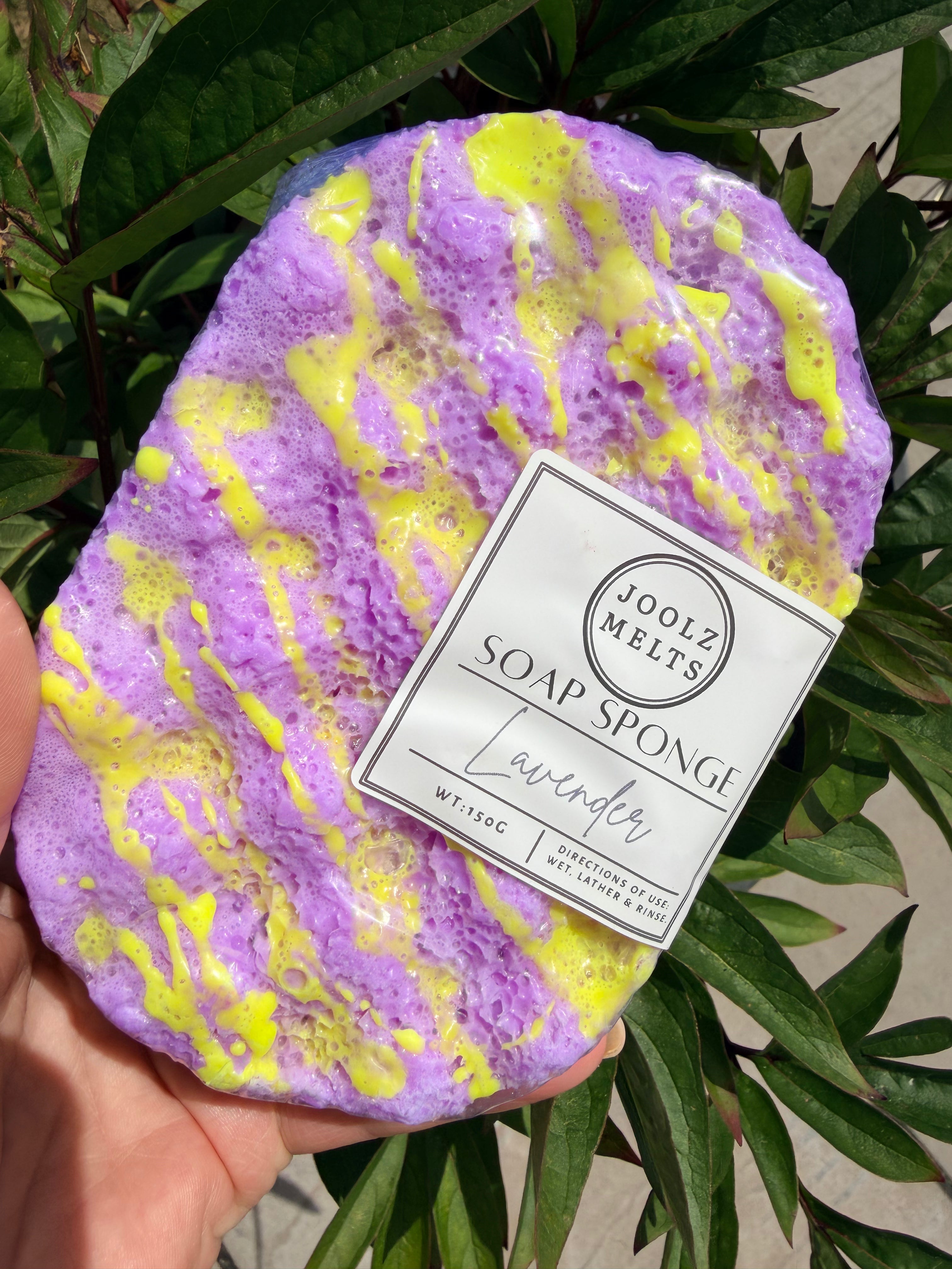 Exfoliating scented Soap Sponges