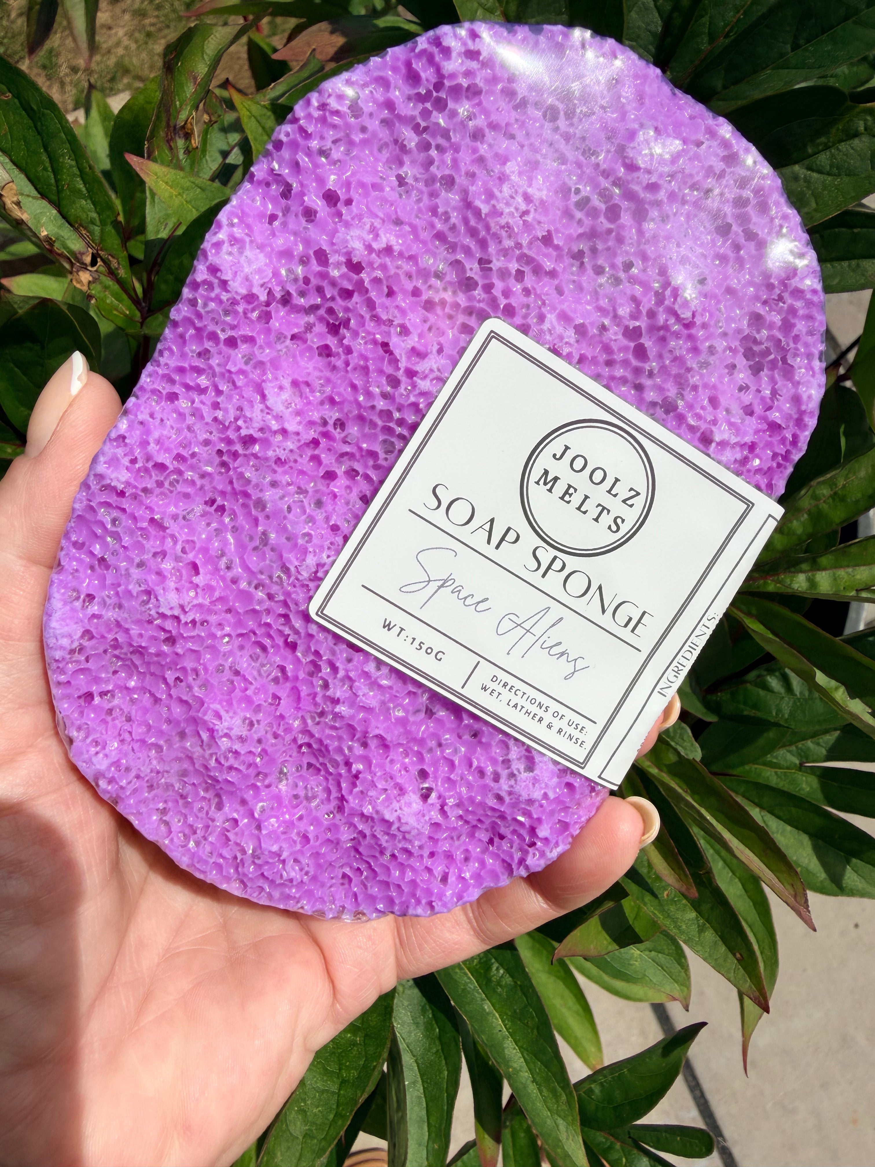 Exfoliating scented Soap Sponges