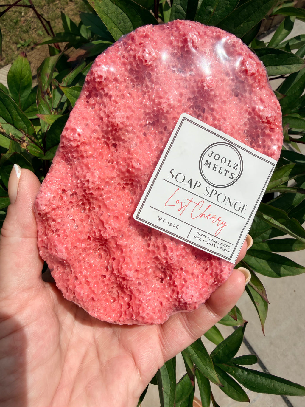 Exfoliating scented Soap Sponges