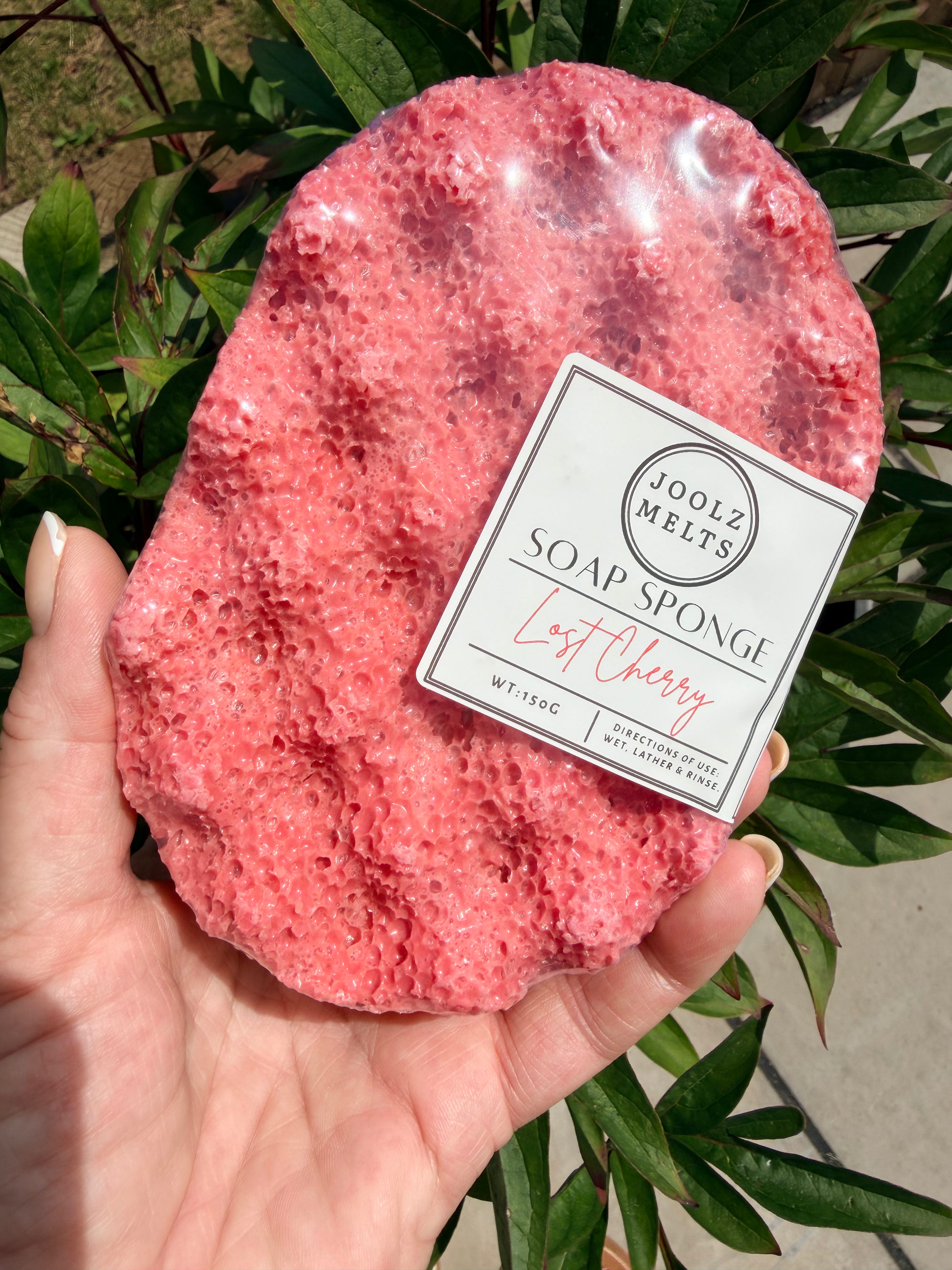 Exfoliating scented Soap Sponges