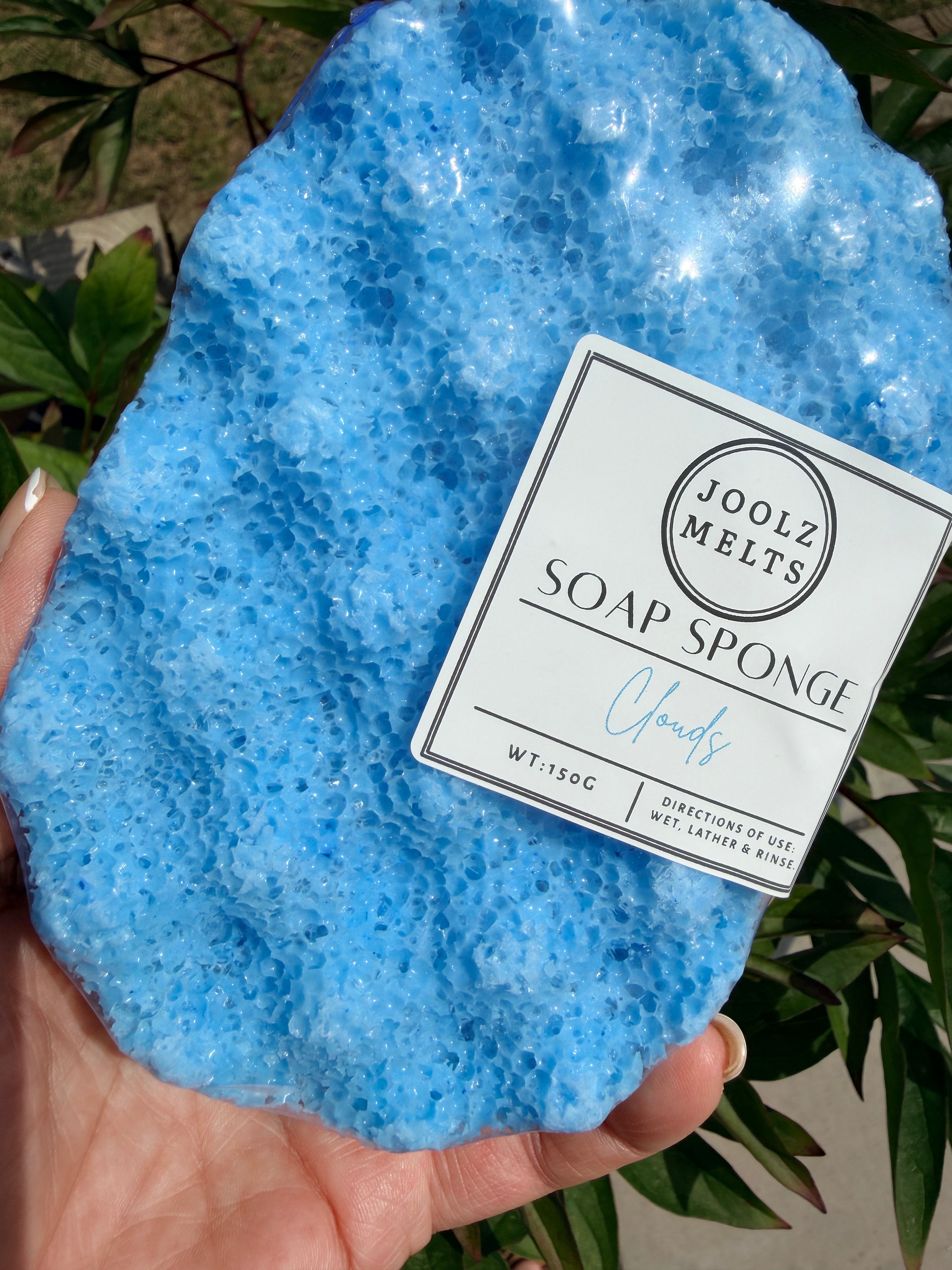 Exfoliating scented Soap Sponges