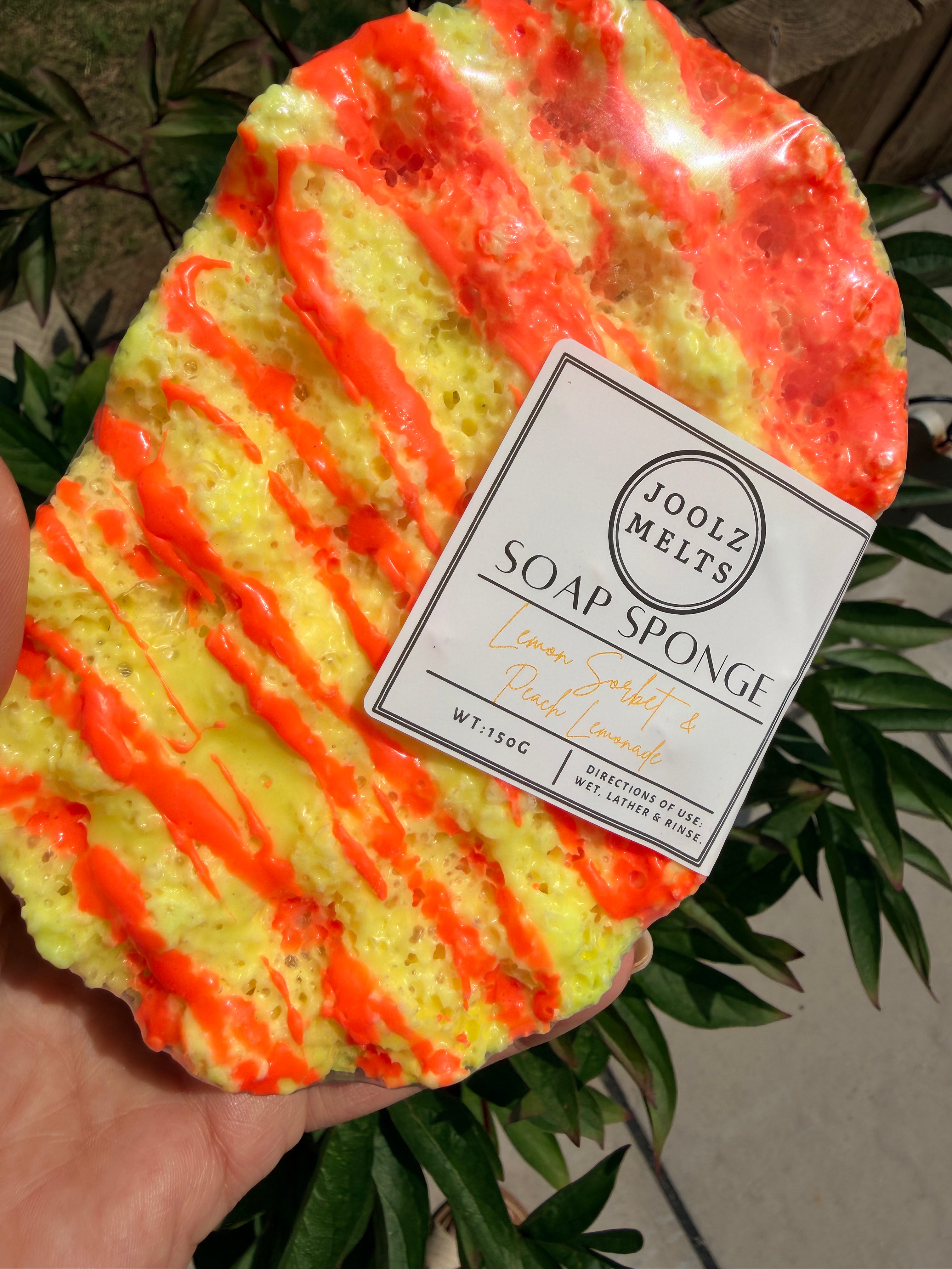 Exfoliating scented Soap Sponges