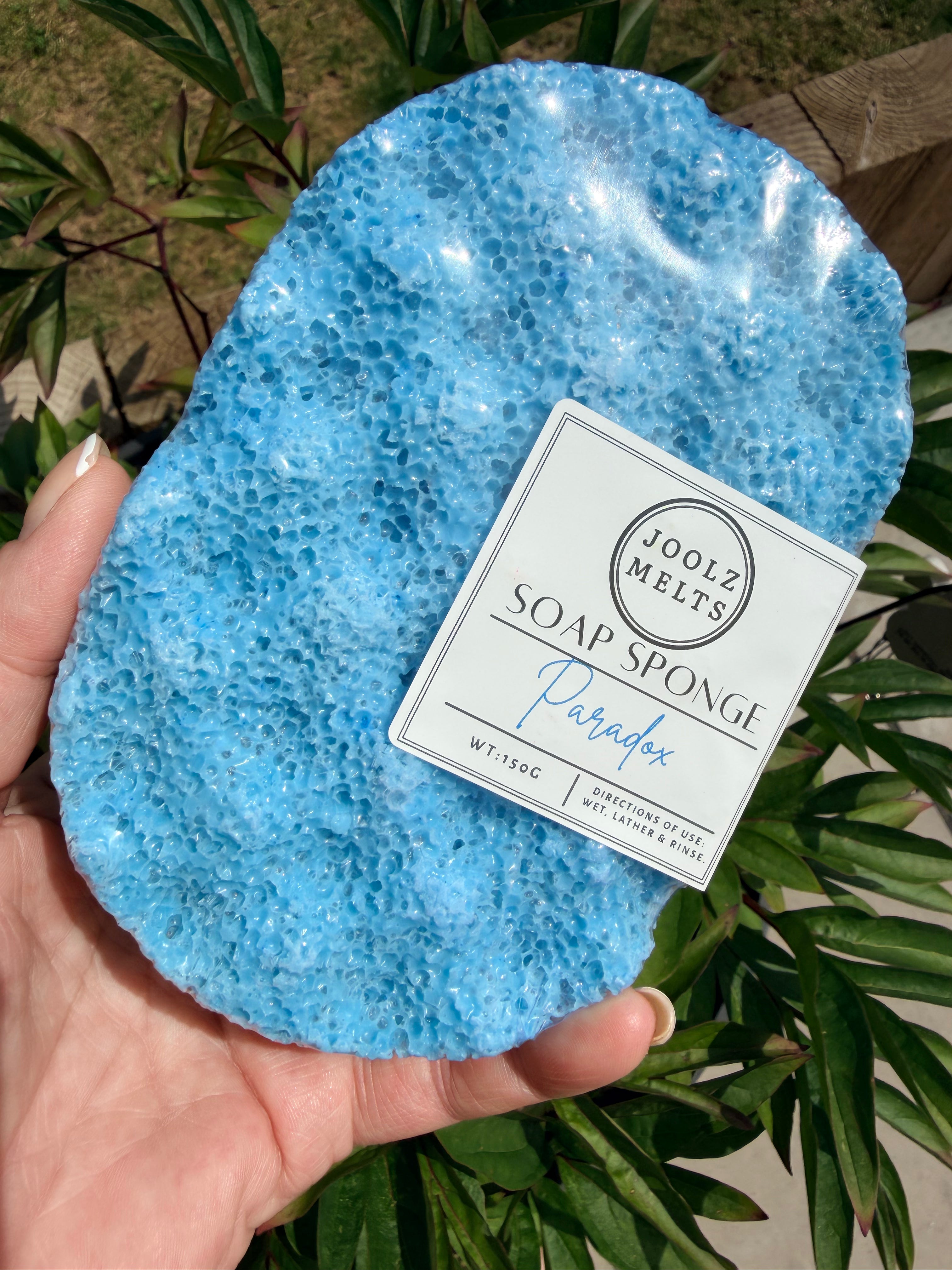 Exfoliating scented Soap Sponges