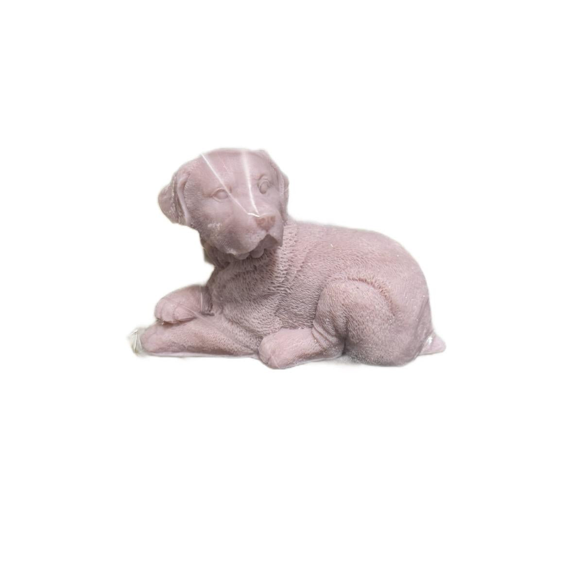 Lying Down Dog